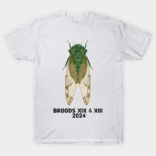 Cicada Insect Great Eastern Broods XIX & XIII USA 2024 T-Shirt